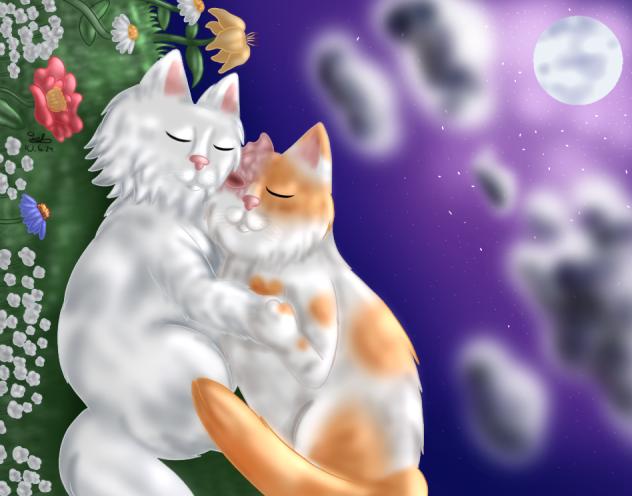 Cloudtail x Brightheart-Night