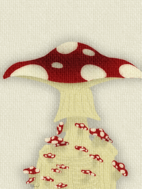 Mushroom Man🍄