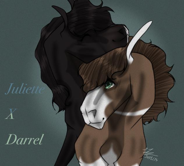 ~ Juliette X Darry ~