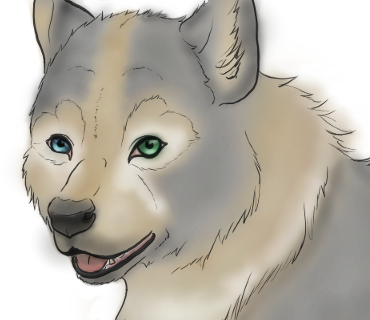 wolf - ibisPaint