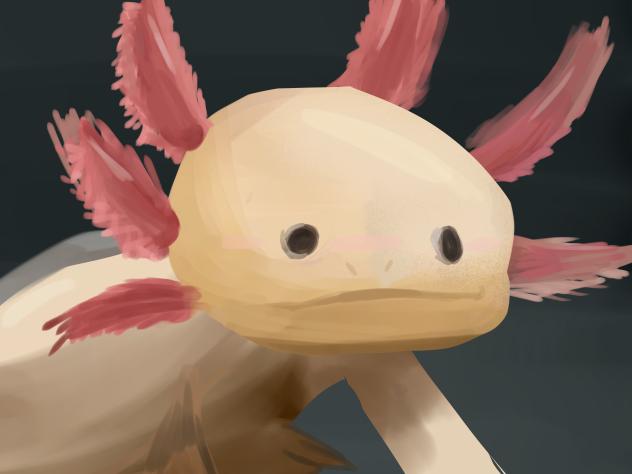 𝓐𝔁𝓸𝓵𝓸𝓽𝓵