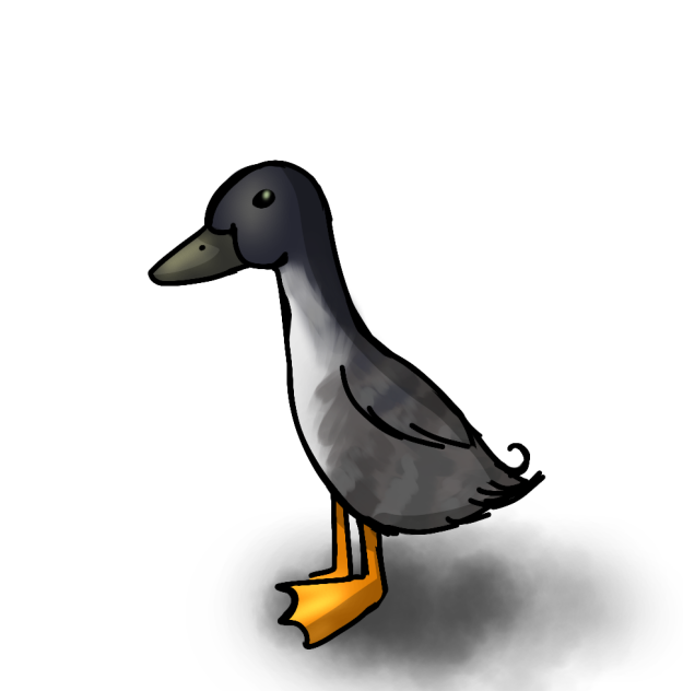 I got bored-