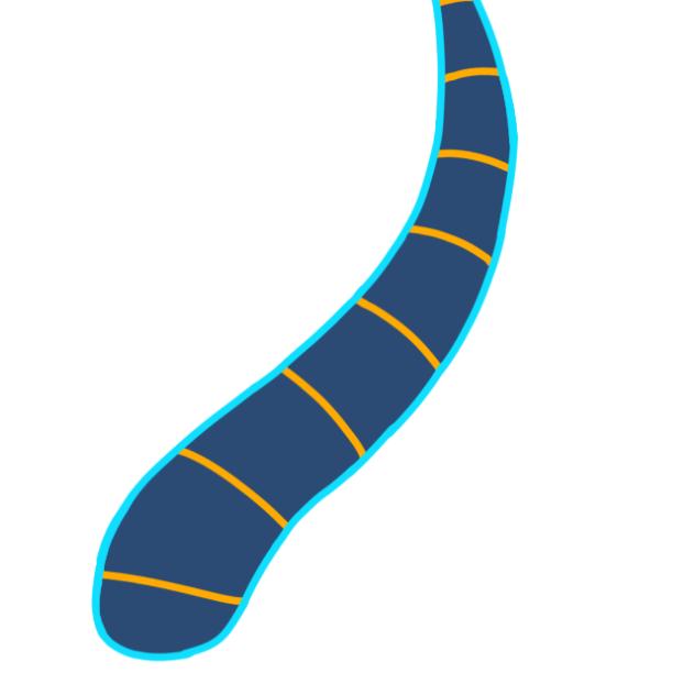 Kyle’s tail animation 😃😄😁😝😜🤪🙃🙂😀🤗🫨😯😲😮