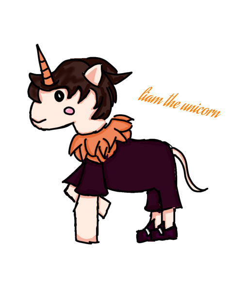 Liam the unicorn