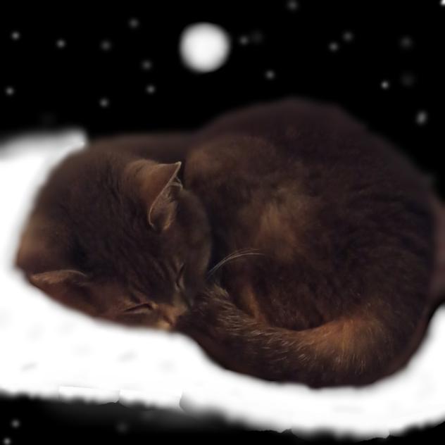 The most peaceful sleeping beauty