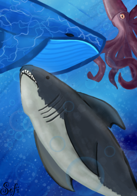 🦈🦑🐳 - ibisPaint