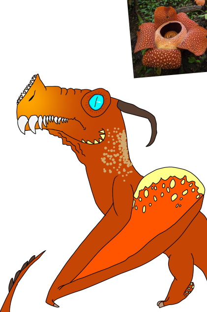 Rafflesia