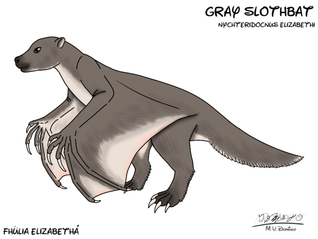 Gray Slothbat