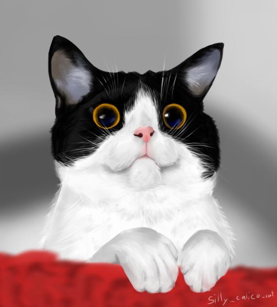 mew