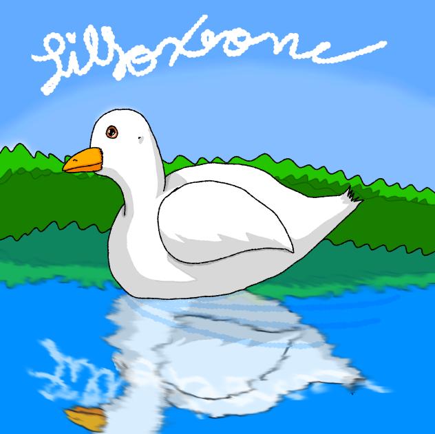 The Calm Duck on the Lake
