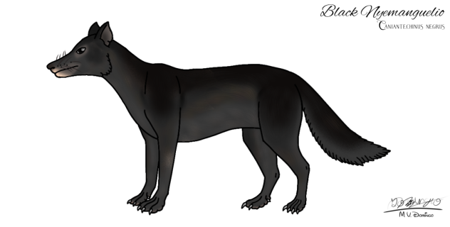 Black Nyemanguelio