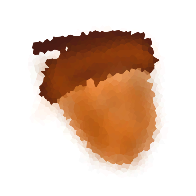 acorn
