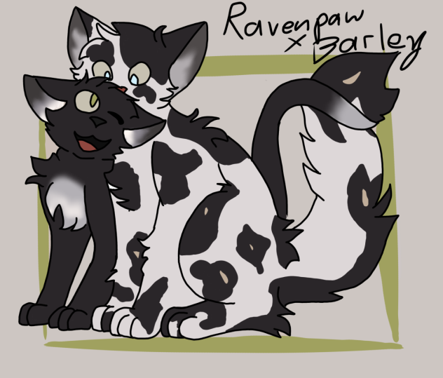 Ravenpaw x Barley