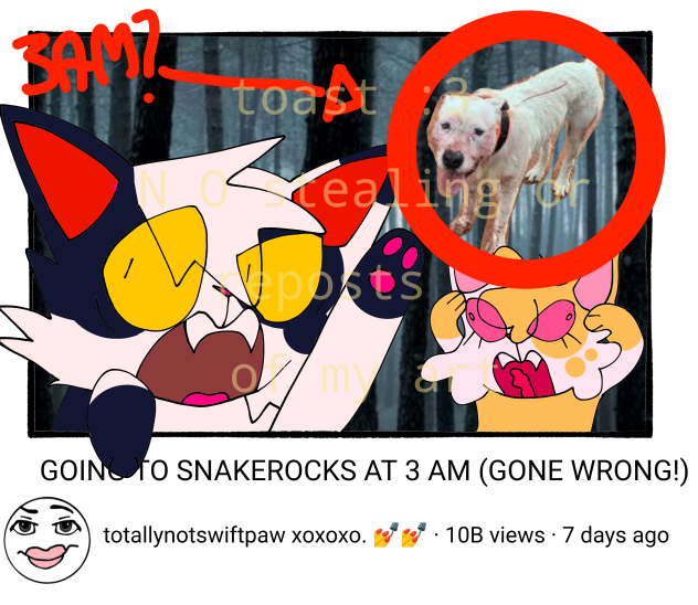 GOING TO SNAKEROCKS AT 3 AM GONE WRONG