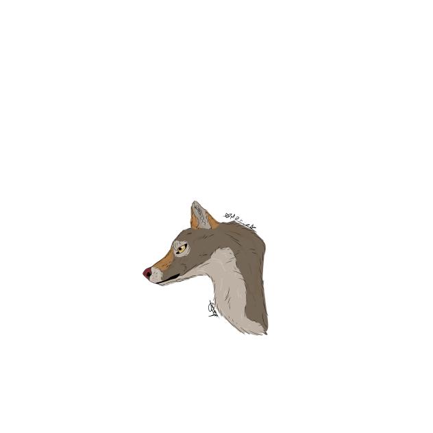 wolf head