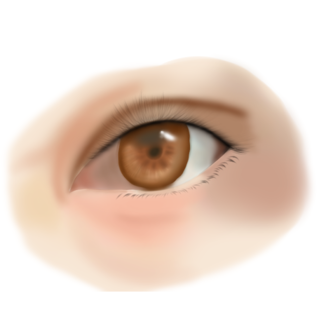 eye