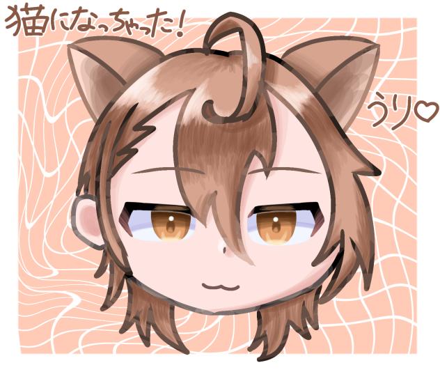 うりりん猫化!!!