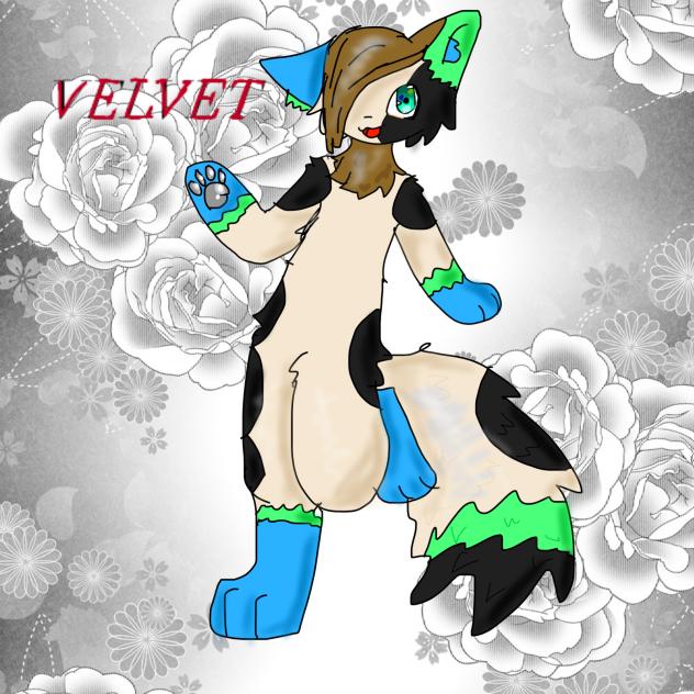 Drawing my sister fursona velvet