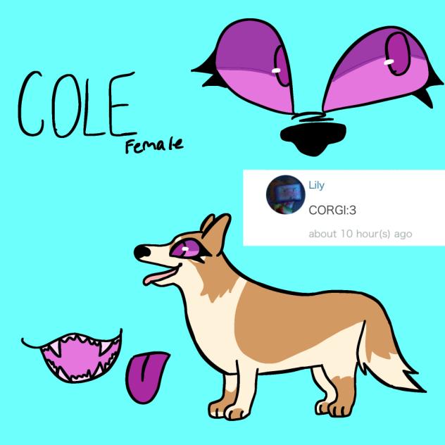 This is Cole the Corgi!