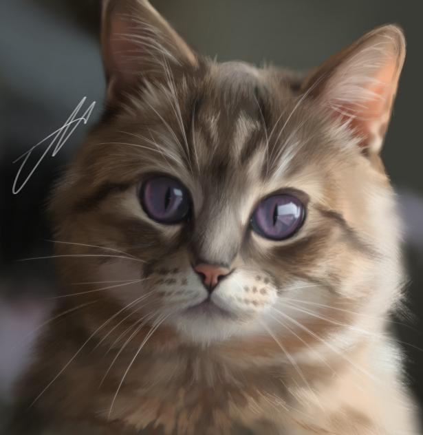 💜🐱