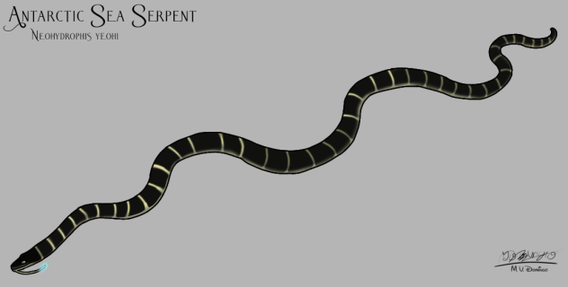 Antarctic Sea Serpent