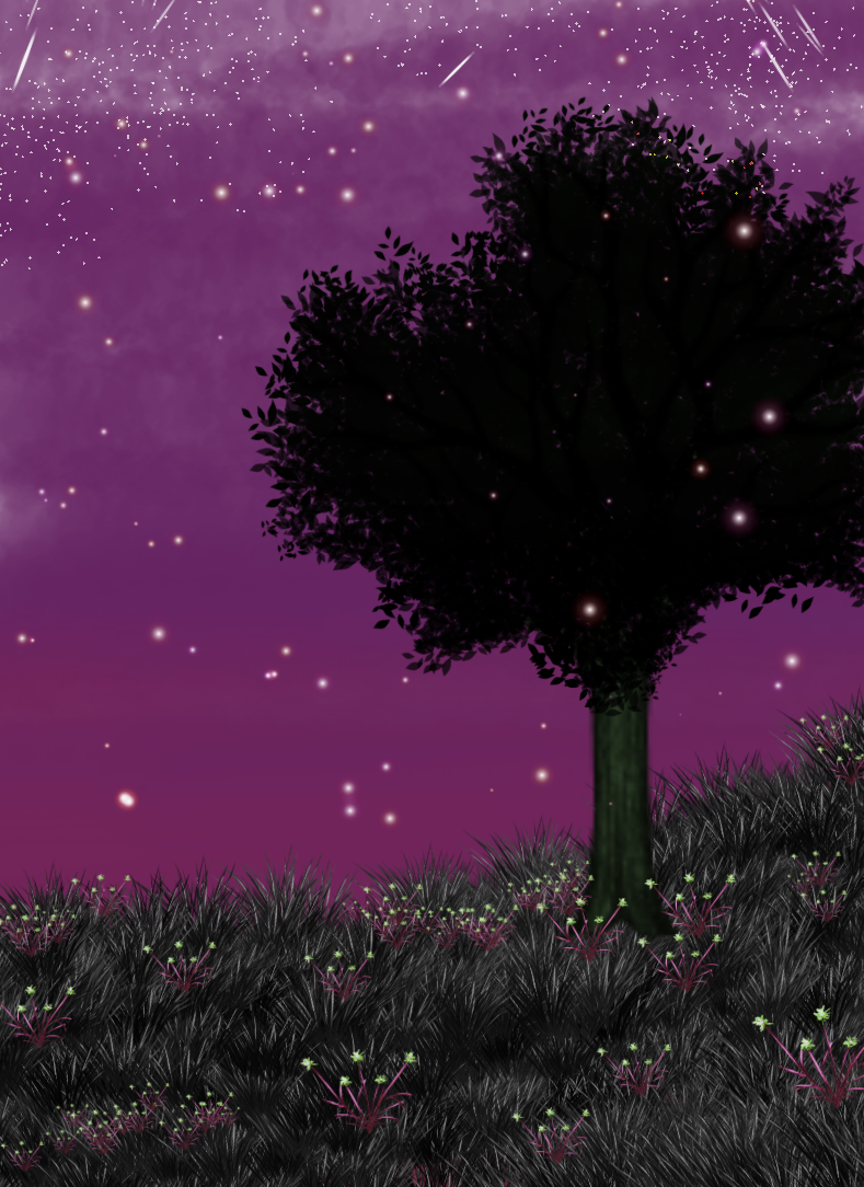 1st - ibisPaint