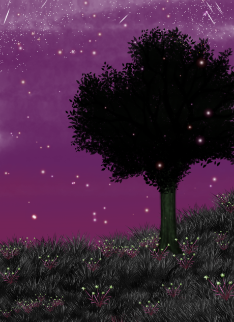 1st - ibisPaint