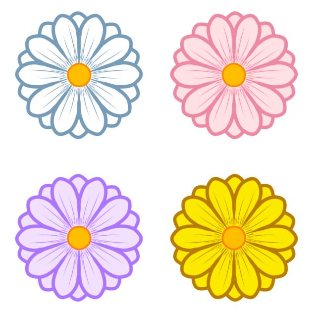 cute flowers
