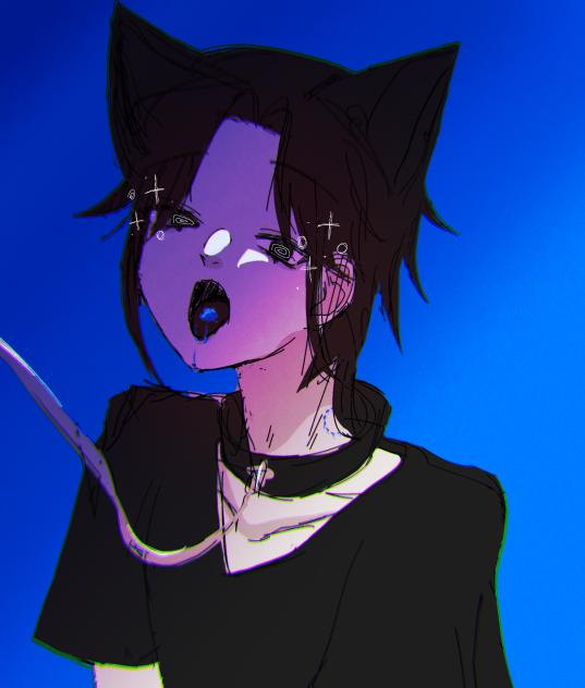 🐈‍⬛🟦？？？