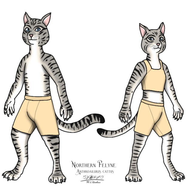 Northern Felyne (2023)