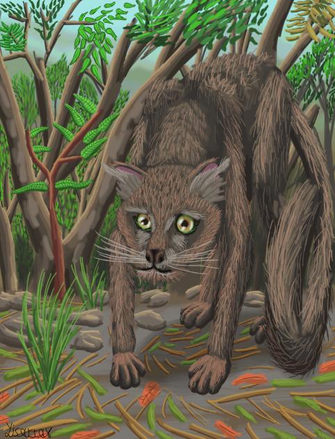 Yaguarundí 1 (Herpailurus yagouaroundi)