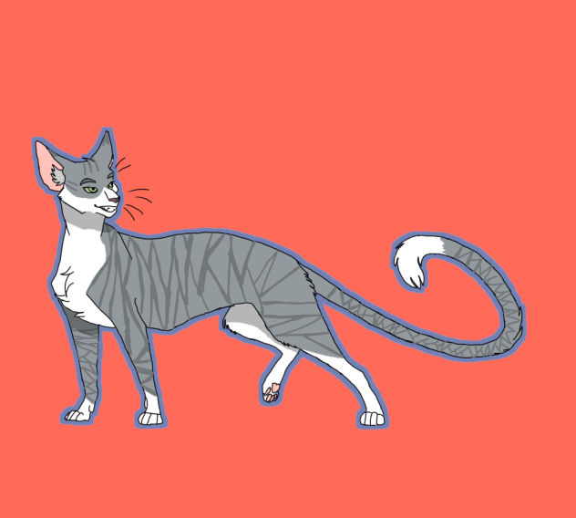 PigeonStripe (warrior cats oc)