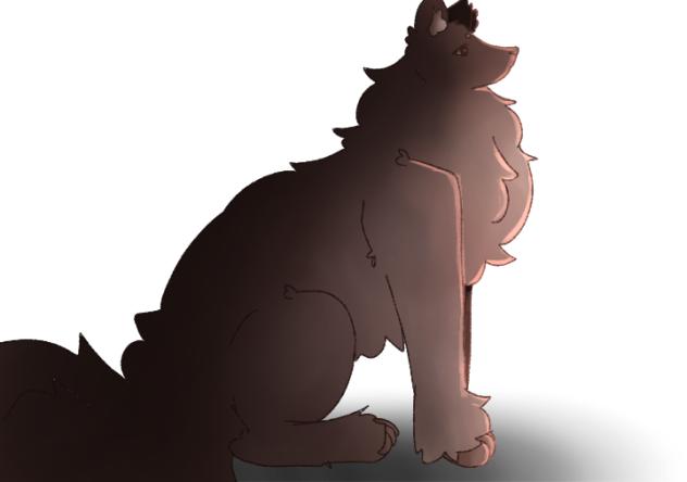 Wolf anatomy study (#1¿)