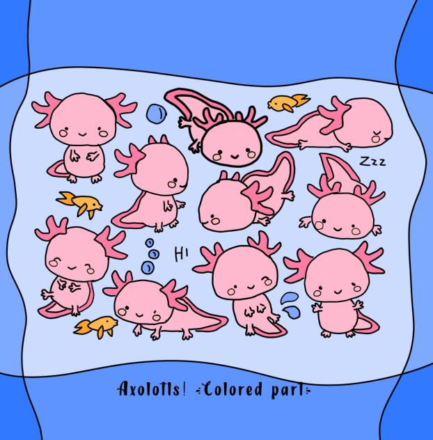 Axolotls! #2