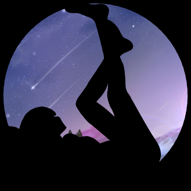 Starry silhouette