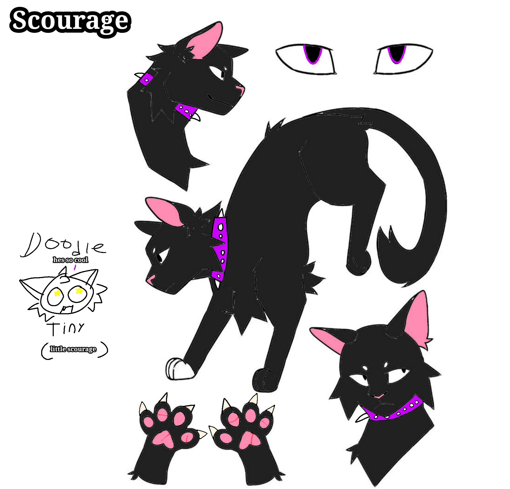 scourage ref sheet - ibisPaint