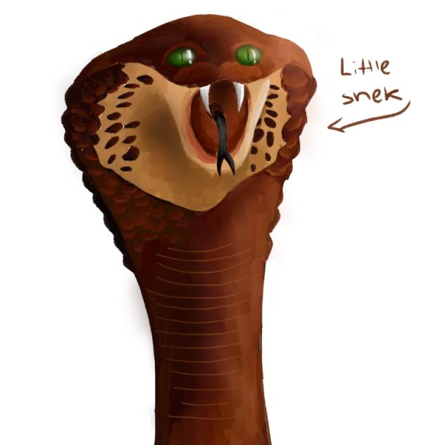 Snek
