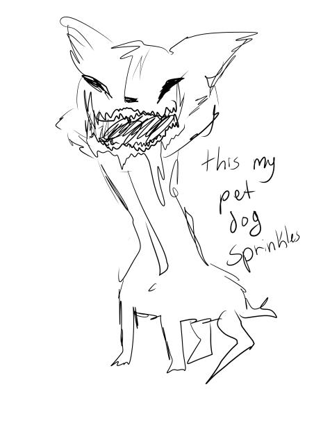 random sketch