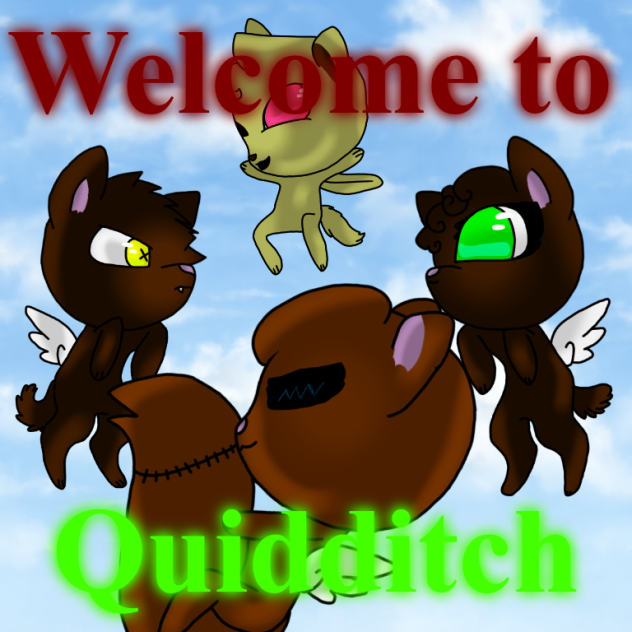 Welcome to Quidditch