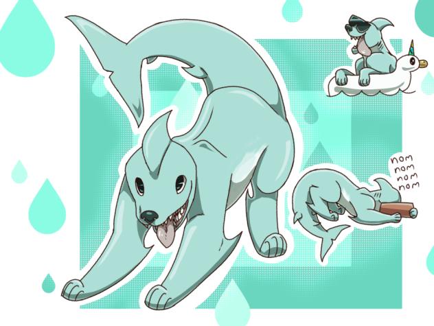 Sea Dog🐶🌊🦈