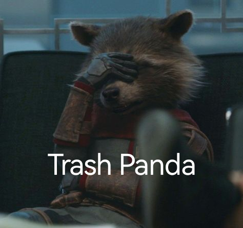 tRaSh PaNdA