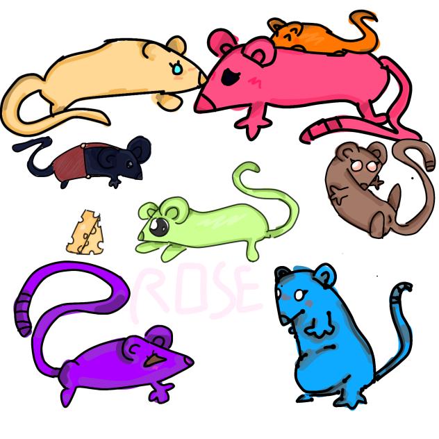 rats