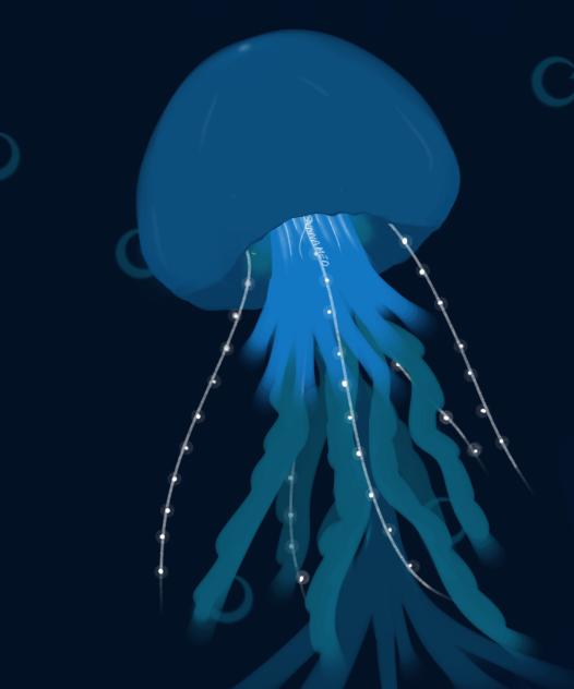 Jellyfish 🪼 - ibisPaint