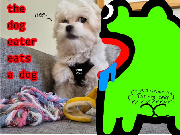 i didnt draw the dog