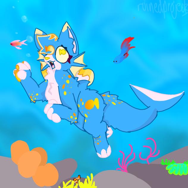 sharky swimming