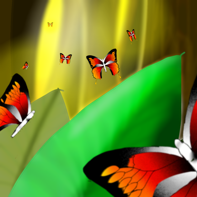 🦋Butterflies 🦋