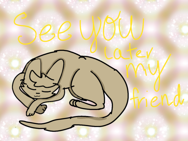 Mr. Cat