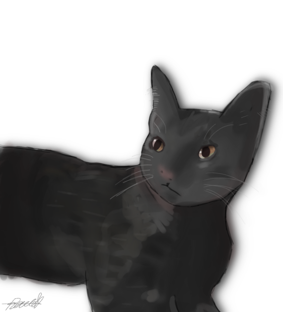 My first cat art - ibisPaint