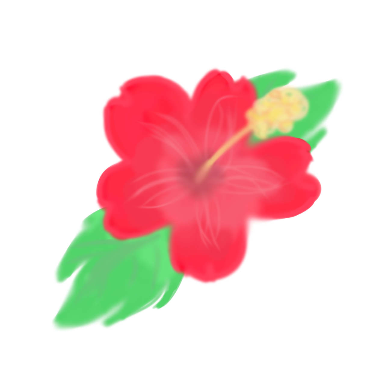 Hibiscus - ibisPaint