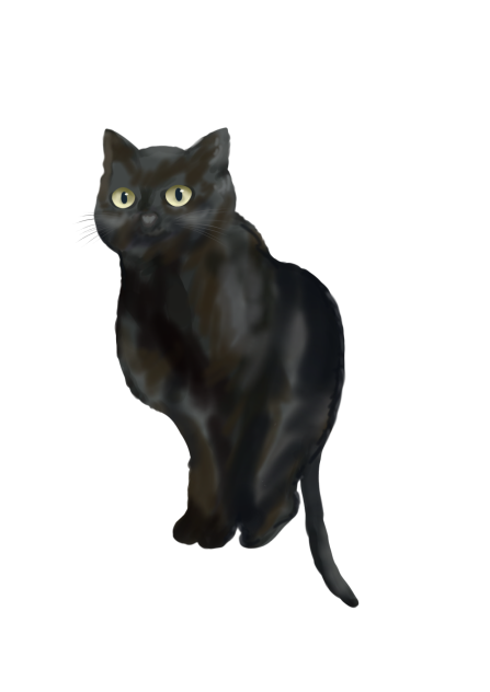 ブラックキャット
